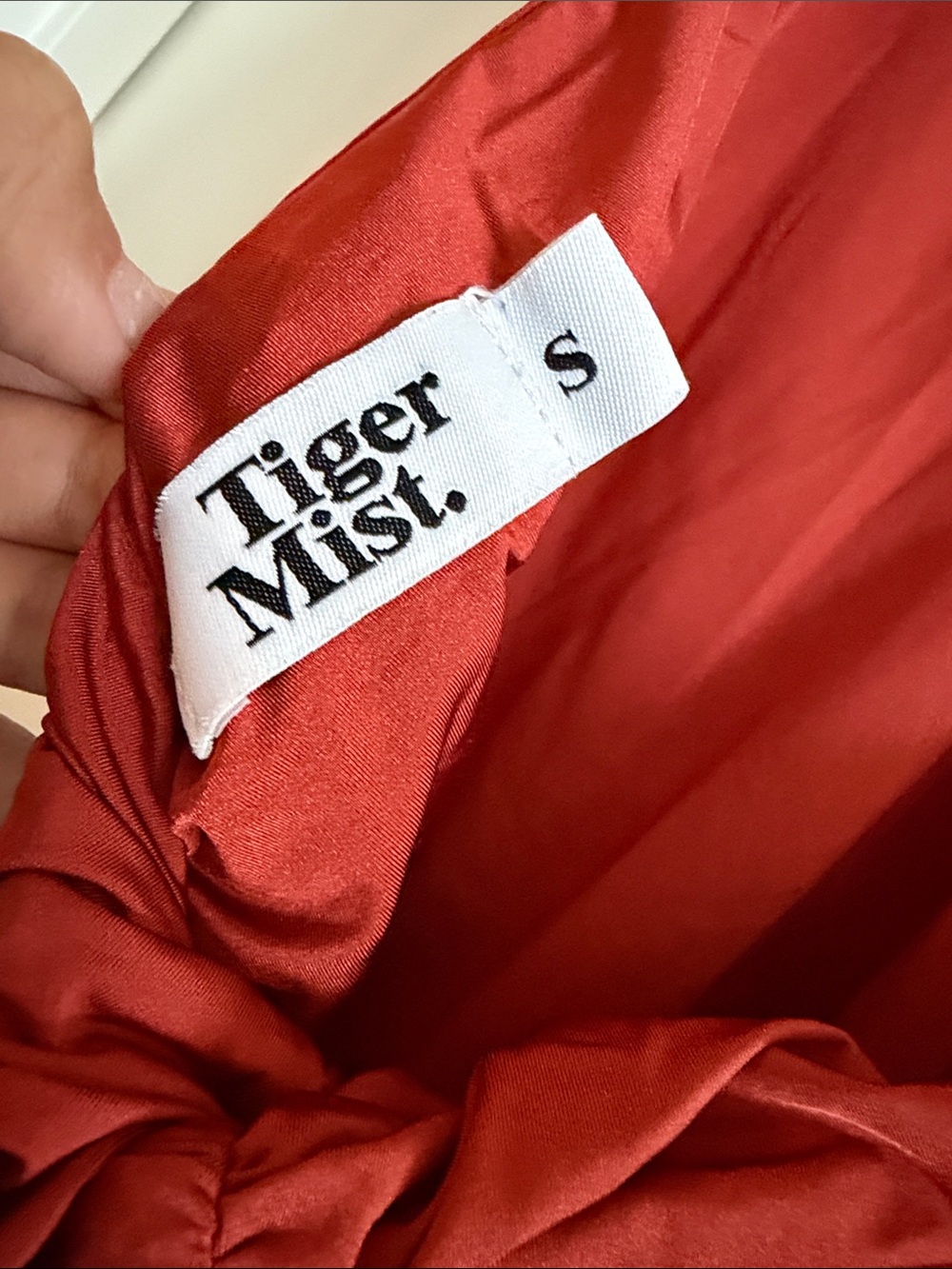Tiger Mist Rust orange Ruched backless mini Dress - Picture 3 of 3